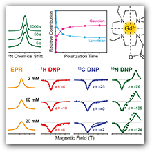 Investigation of Gd(III) DNP